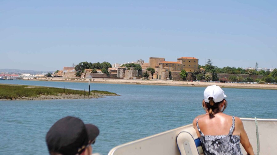 From Faro: Ria Formosa Lagoon Boat Tour with Local Guide