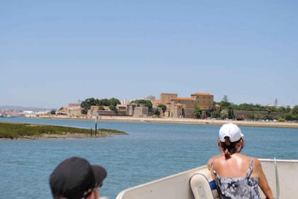 Faro: tour en bote pequeño por la laguna de Ria Formosa con guía local