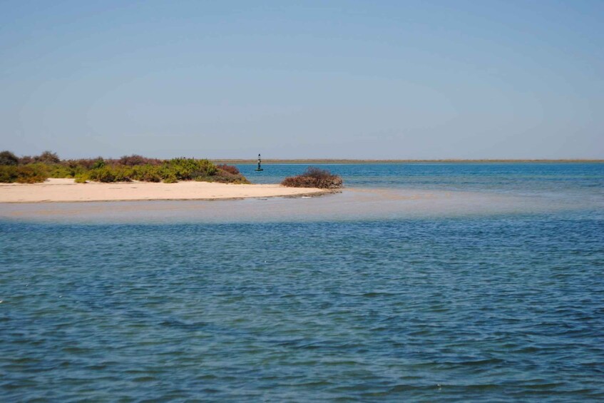 Picture 3 for Activity From Faro: Ria Formosa Lagoon Boat Tour with Local Guide