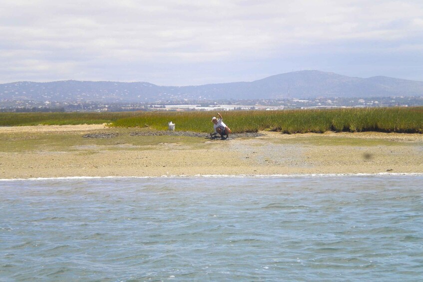 Picture 8 for Activity From Faro: Ria Formosa Lagoon Boat Tour with Local Guide