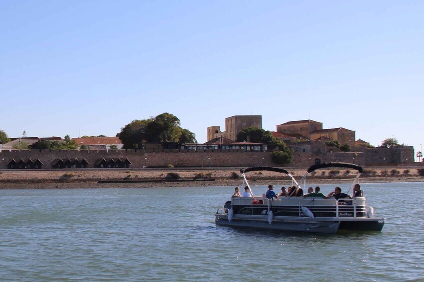 Picture 5 for Activity From Faro: Ria Formosa Lagoon Boat Tour with Local Guide