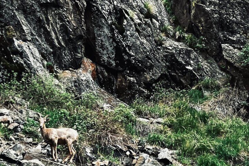 Rocky Mountain National Park Guided Hiking and Yoga Experience