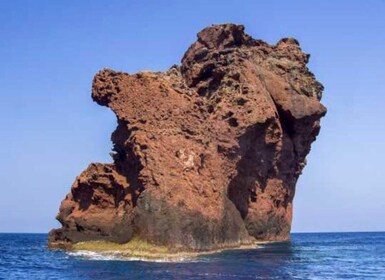 Cargèse: crucero por cuevas marinas para nadar y hacer esnórquel con parada...