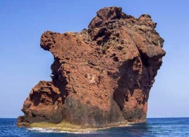 Cargèse: crucero por cuevas marinas para nadar y hacer esnórquel con parada...