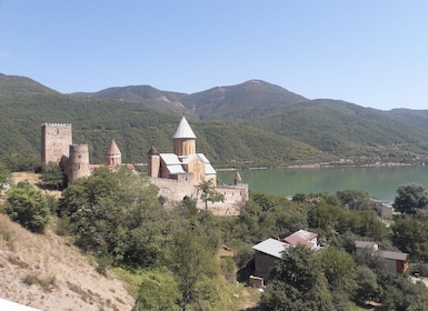 Privétour van een hele dag naar de bergen Gudauri & Kazbegi