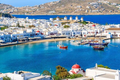 Mykonos: Privat tur med bil til øya og strendene