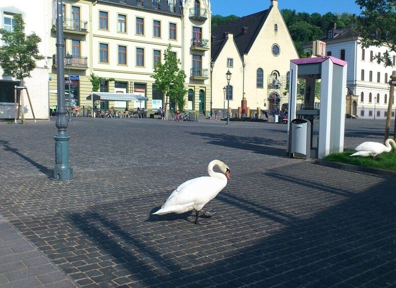 Picture 3 for Activity Koblenz: Private Guided Walking Tour