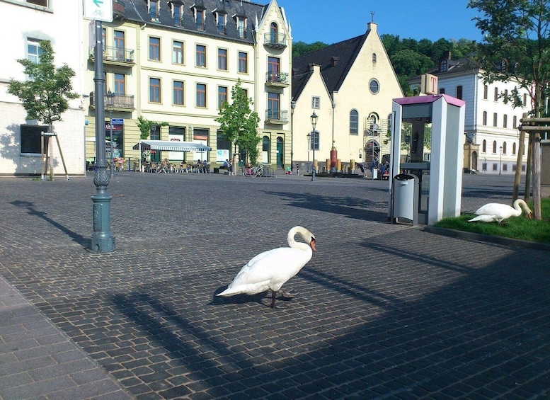 Picture 3 for Activity Koblenz: Private Guided Walking Tour