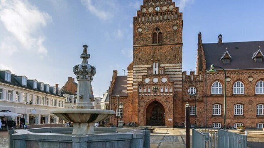 Half Day Private Tour to Vikings City Roskilde from Copenhagen