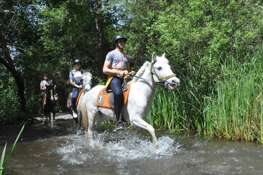 Picture 1 for Activity From Fethiye: Horse Riding Adventure