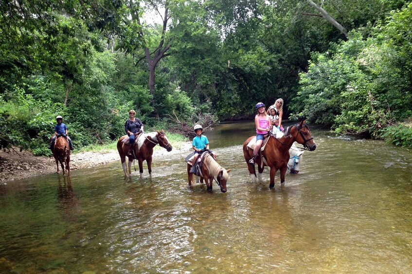 Picture 2 for Activity From Fethiye: Horse Riding Adventure