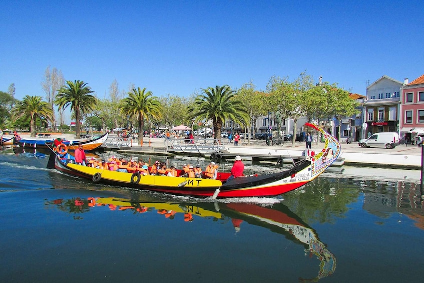 Picture 12 for Activity From Porto: Aveiro, Paiva Walkways and Arouca 516 Footbridge