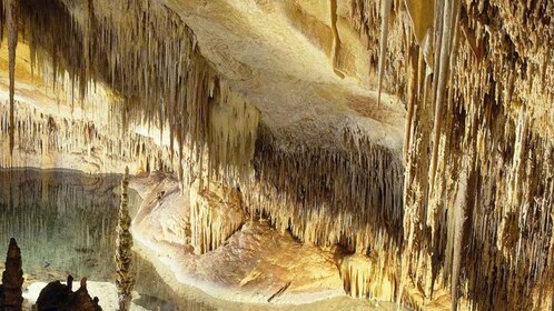 Mallorca: Ticket for Caves of Drach with Pickup Service