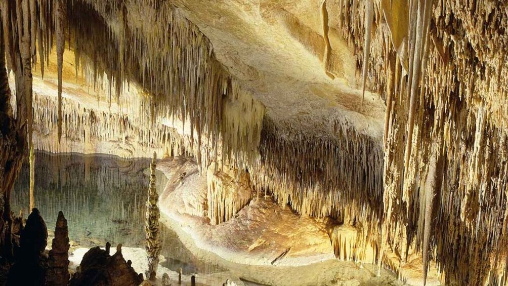 Mallorca: Ticket for Caves of Drach with Pickup Service