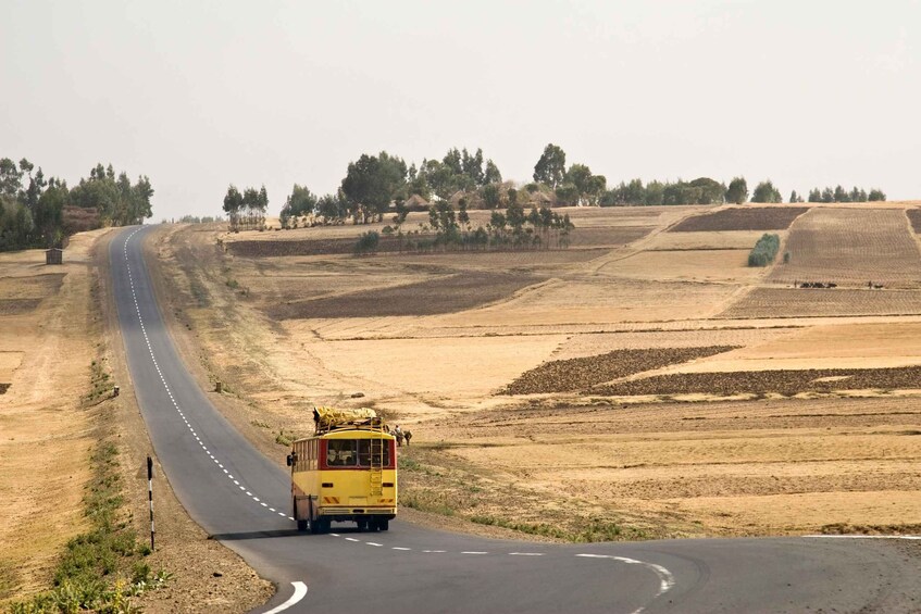 Guided Day Trip from Addis to Debre Libanos