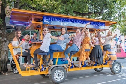 All-inclusive Indianapolis Mobile Pub Tour and Experience