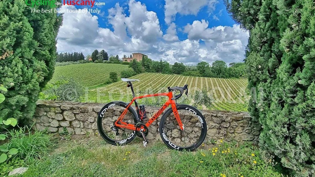 Picture 8 for Activity Guided Bike Tour in Chianti, Tuscany, Italy.