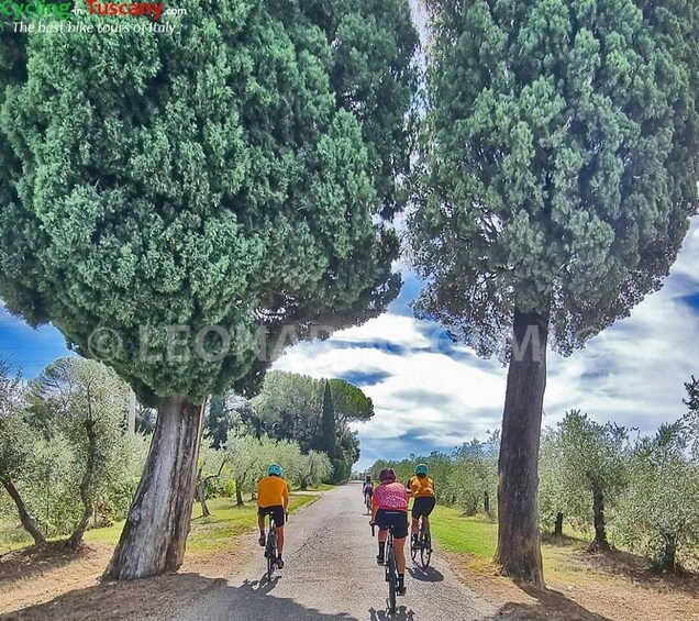 Picture 9 for Activity Guided Bike Tour in Chianti, Tuscany, Italy.