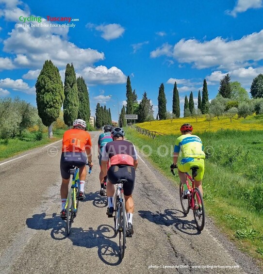 Picture 7 for Activity Guided Bike Tour in Chianti, Tuscany, Italy.