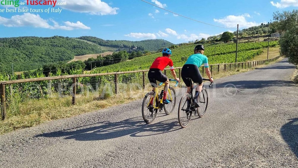 Guided Bike Tour in Chianti, Tuscany, Italy.