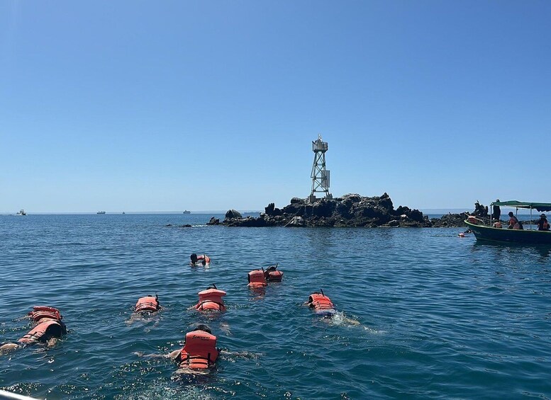 Picture 1 for Activity La Paz: Espiritu Santo Island Tour