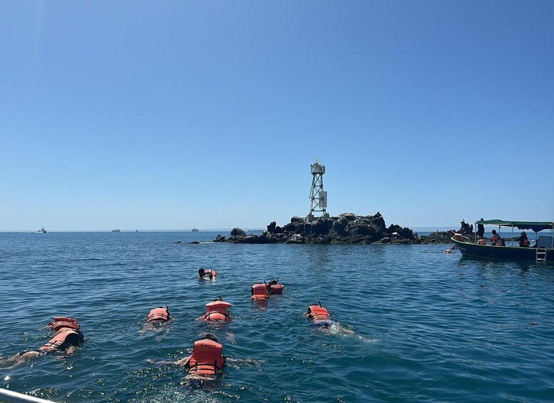 Picture 1 for Activity La Paz: Espiritu Santo Island Tour