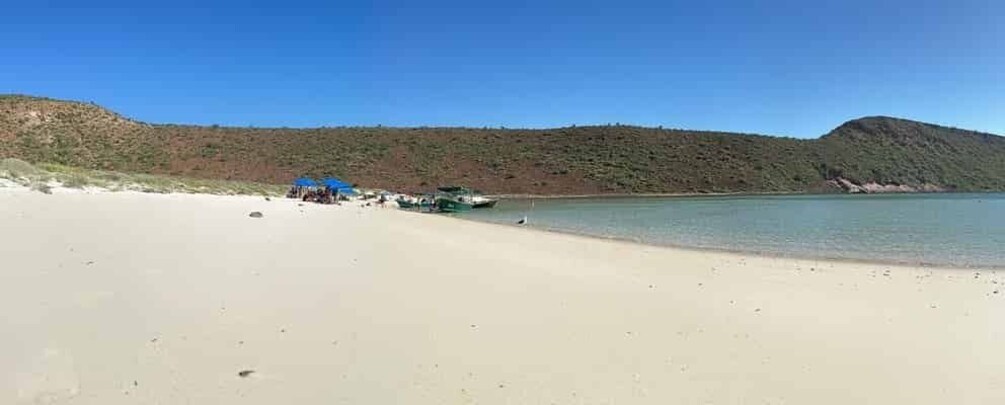 Picture 5 for Activity La Paz: Espiritu Santo Island Tour