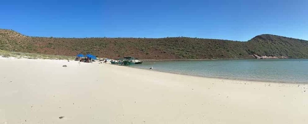 Picture 5 for Activity La Paz: Espiritu Santo Island Tour