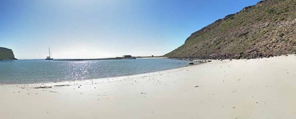 Picture 9 for Activity La Paz: Espiritu Santo Island Tour