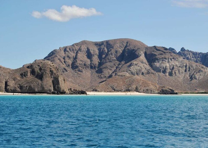 Picture 7 for Activity La Paz: Espiritu Santo Island Tour