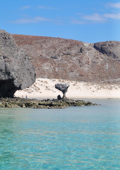 Picture 6 for Activity La Paz: Espiritu Santo Island Tour