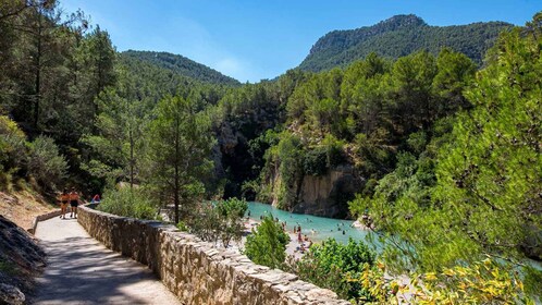 Da Valencia: Escursione guidata a Montanejos con piscine naturali