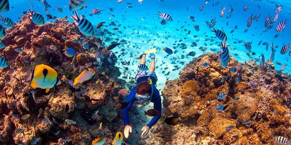 Picture 20 for Activity Sharm El-Sheikh: Blue Hole or 3 Pools Dahab Trip with Lunch