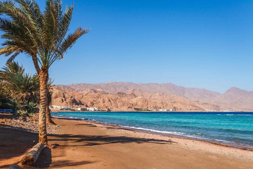 Picture 29 for Activity Sharm El-Sheikh: Blue Hole or 3 Pools Dahab Trip with Lunch