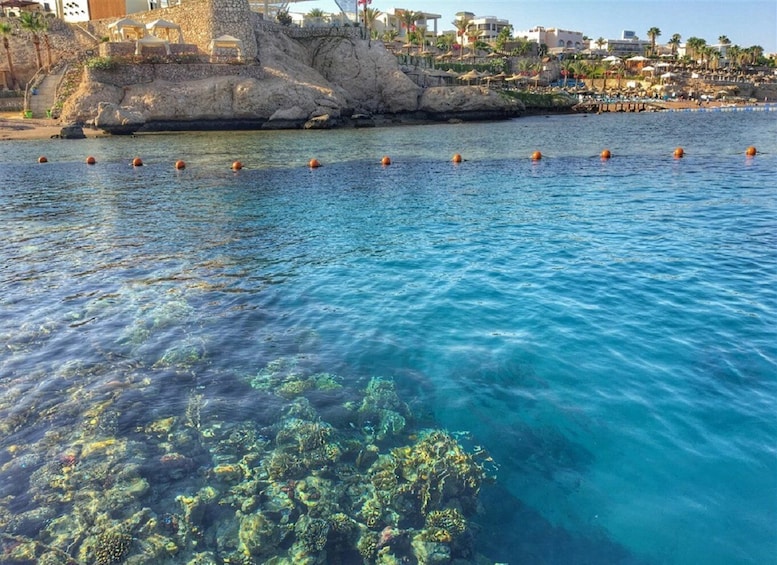 Picture 22 for Activity Sharm El-Sheikh: Blue Hole or 3 Pools Dahab Trip with Lunch