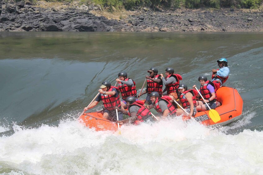 Picture 1 for Activity Zambezi River 5 Day White Water Rafting Adventure