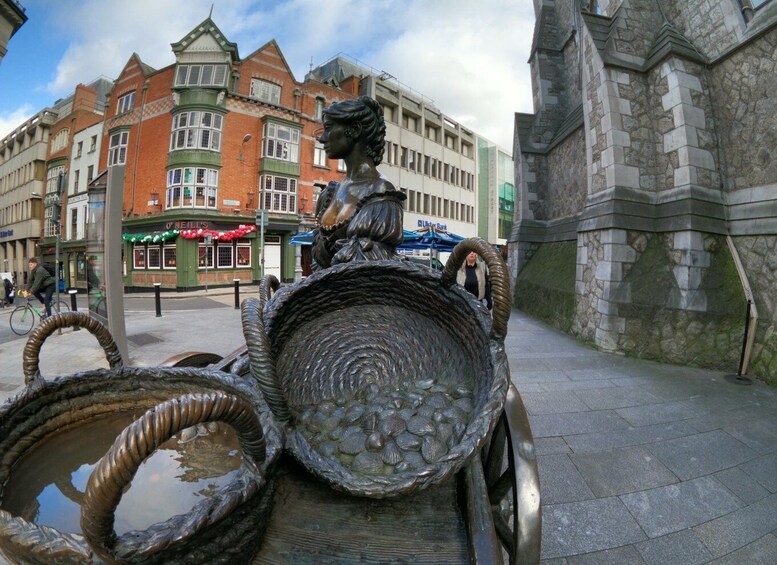 Picture 4 for Activity Dublin: Dublin City Highlights Private Guided Walking Tour
