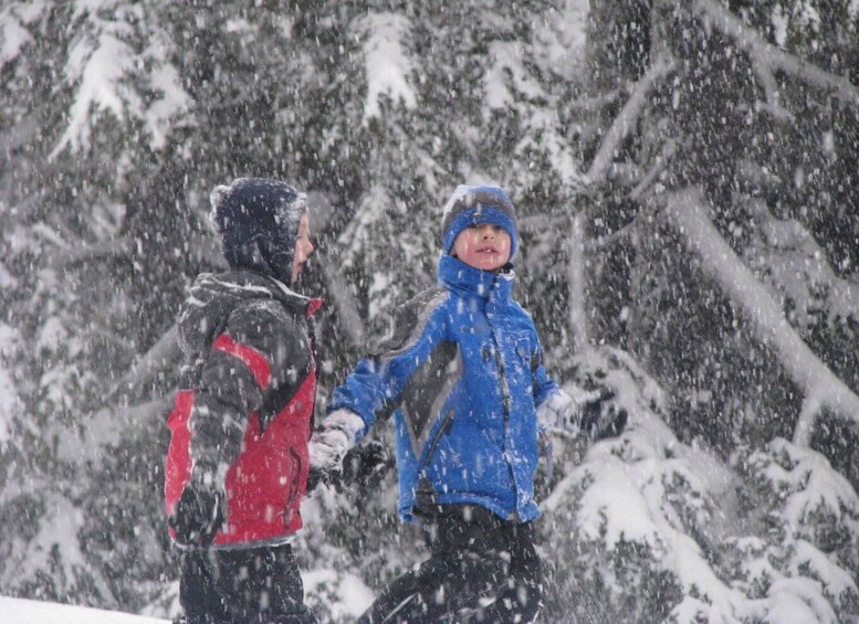 Picture 2 for Activity Bend: Half-Day Snowshoe Tour in the Cascade Mountain Range