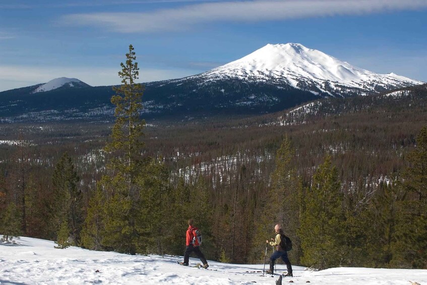 Picture 7 for Activity Bend: Half-Day Snowshoe Tour in the Cascade Mountain Range