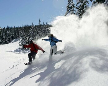 Bend: Half-Day Snowshoe Tour in the Cascade Mountain Range