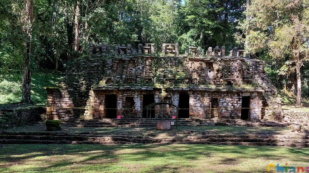 Picture 2 for Activity From Palenque: Yaxchilán and Bonampak Tour