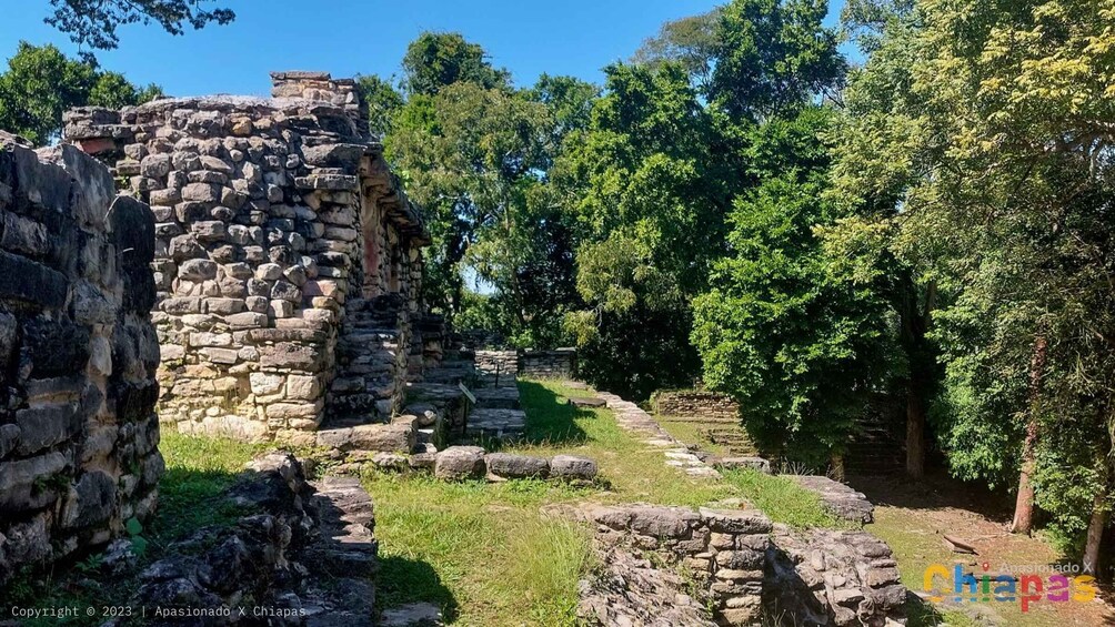 Picture 6 for Activity From Palenque: Yaxchilán and Bonampak Tour