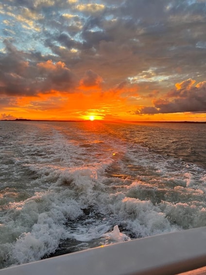 Picture 9 for Activity Hilton Head Island: Sunset Dolphin Watching Tour