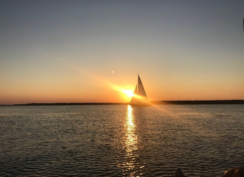 Picture 4 for Activity Hilton Head Island: Sunset Dolphin Watching Tour