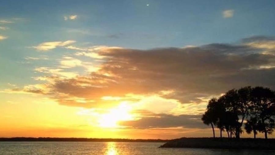 Hilton Head Island: Sunset Dolphin Watching Tour