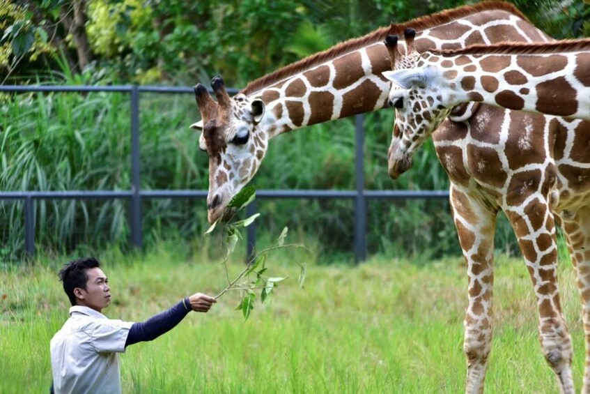 Picture 6 for Activity From Cebu City: Cebu Safari and Adventure Park Day Tour