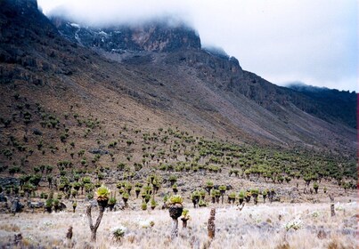 Excursión de un día al monte Kenia desde Nairobi