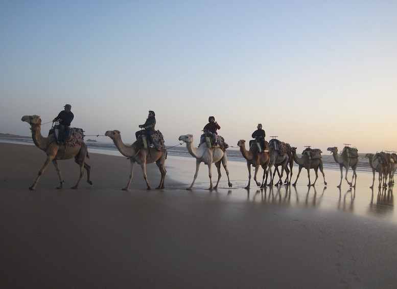 Picture 1 for Activity From Essaouira: Camel Tour with Overnight Stay in a tent