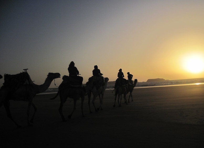 Picture 2 for Activity From Essaouira: Camel Tour with Overnight Stay in a tent