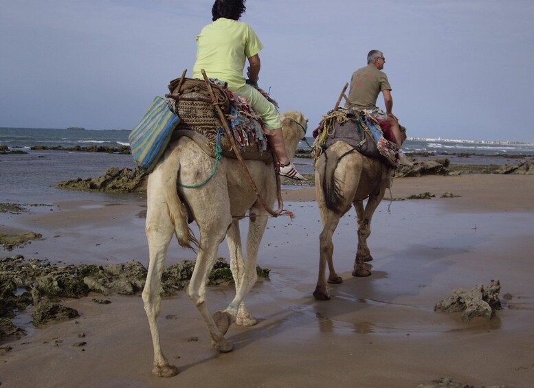 From Essaouira: Camel Tour with Overnight Stay in a tent